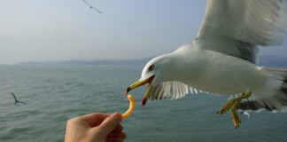 서해의 섬 신도, 시도, 모도로 떠난 가족여행: 인천 섬 여행의 즐거운 추억과 환상적인 경치