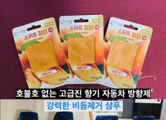 자동차 방향제 추천: 스위트 피치, 비듬 제거 샴푸 추천: 헤드앤숄더 CLINICAL STRENGTH